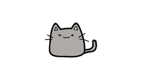 cat human