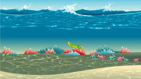 Eel Adventure!