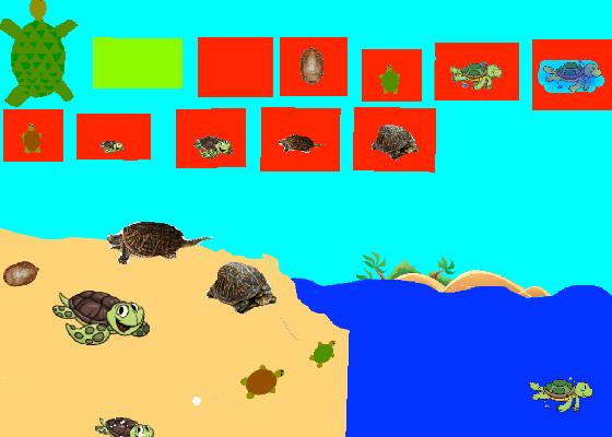 Turtle Clicker!  1