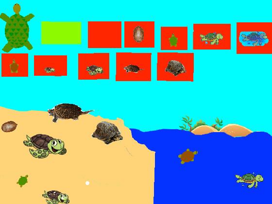 Turtle Clicker!  1