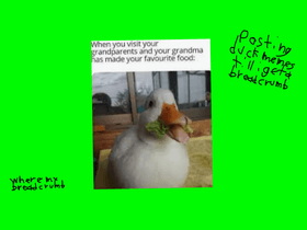 duck meme