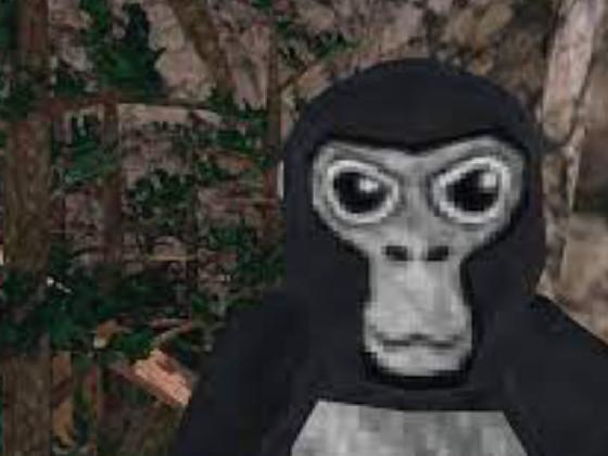 Every server in gorilla tag has this guy