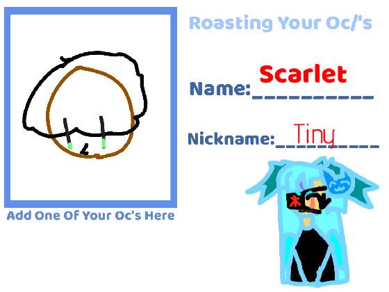 Roasting Your Oc! 1