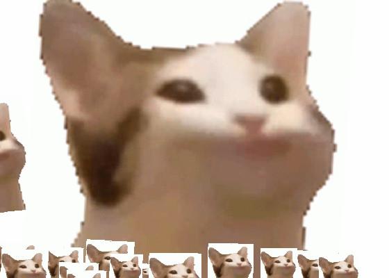 dont click pop cat 1 1 1