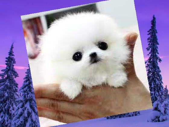 cuteness overload! 1