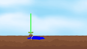 GD 101-57.SA2 Draw the Stem