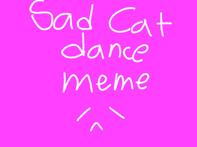 sad cat dance || meme 1 1