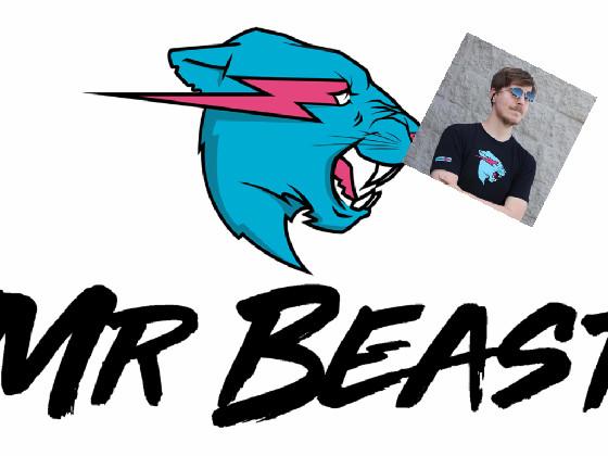 MR MR BEAST 1