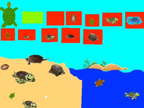 Turtle Clicker!  1