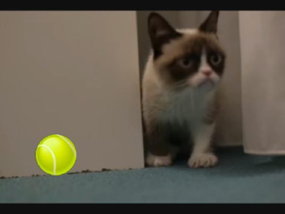 grumpy cat room ball