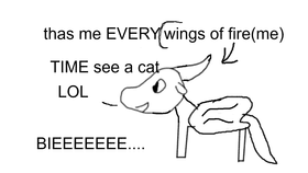 IS THAT A CAT!(meme)