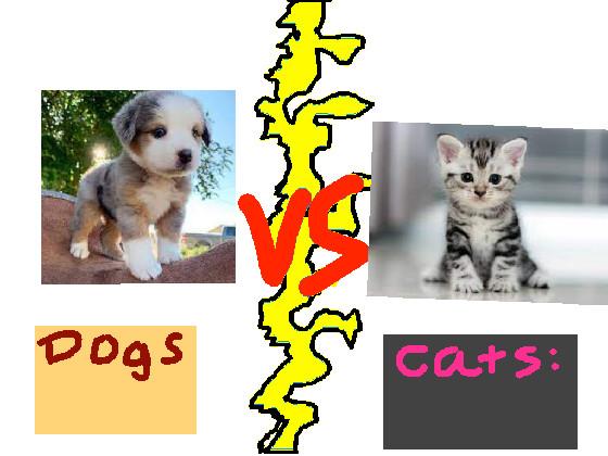 Dogs vs Cats!