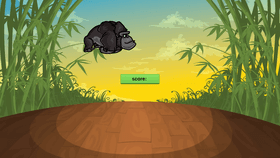 monkey