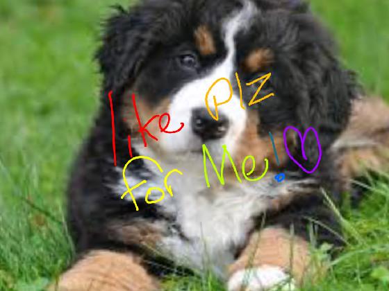 Please like i need it