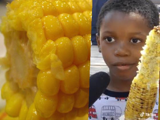 iT’S cOrN song 1 1 1 1 1