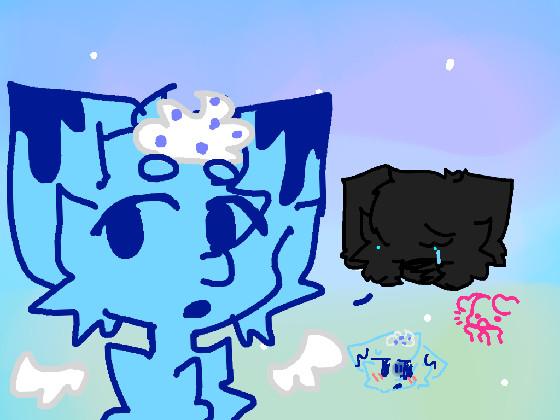 blueberry cat animation!   1 1