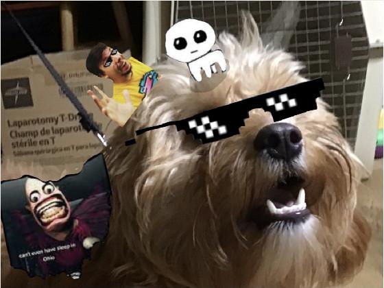 dog meme p.t 2 1