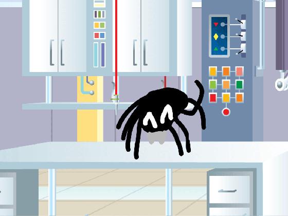 Jumping Spider