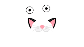 Kitty Filter!