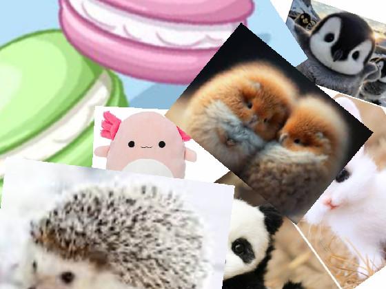 THE CUTEST OF PIES 🥧