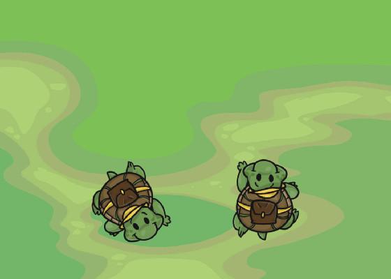 Turtle Trails 1