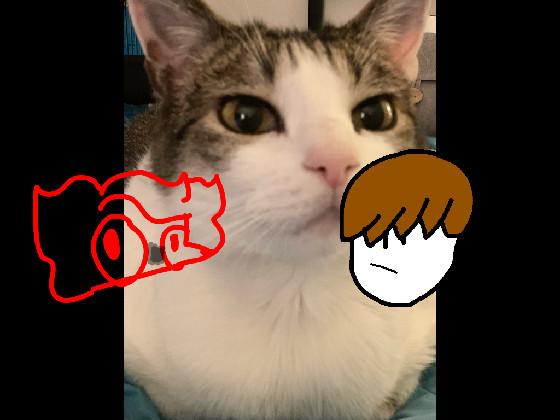 This My Cat 1 2 1 1 1