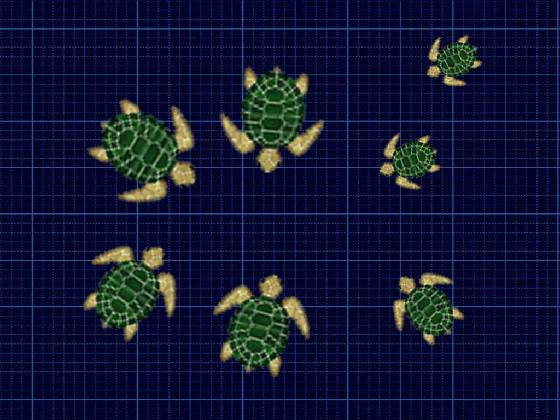 turtles 3.3