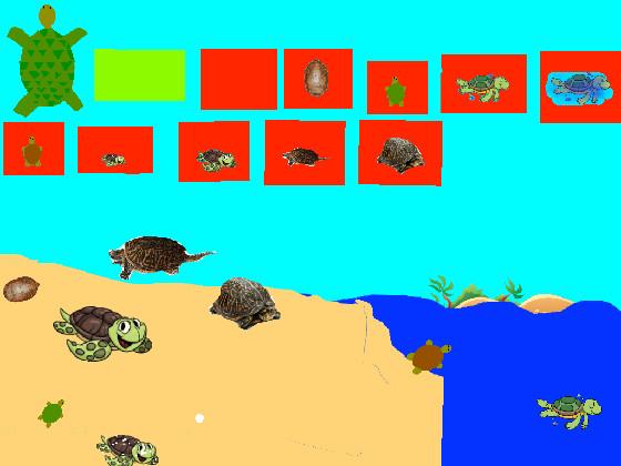 Speed Turtle Clicker!