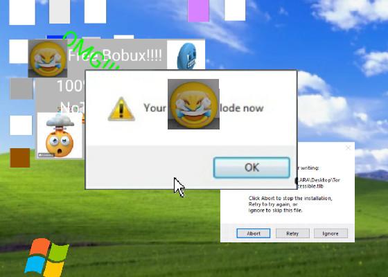 Windows XP Error indev