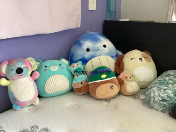 My squish collection