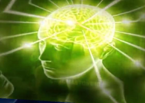 mega brain 1 1 1 1