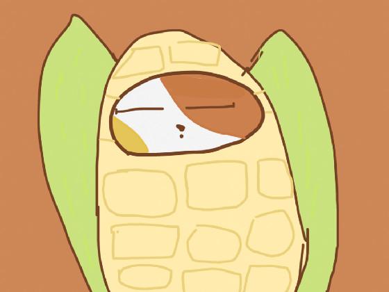 Corn cat song 1
