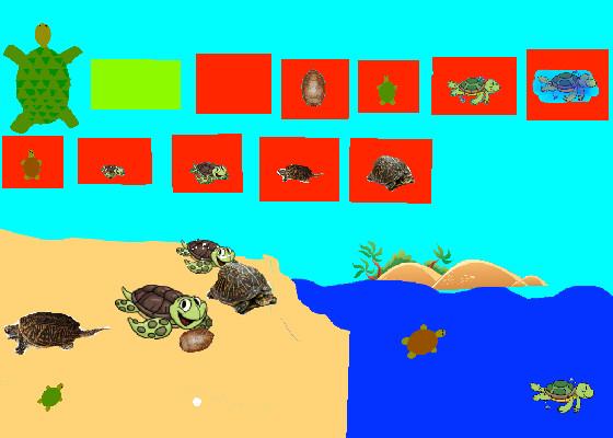 Turtle Clicker!  1