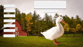 Duck Clicker