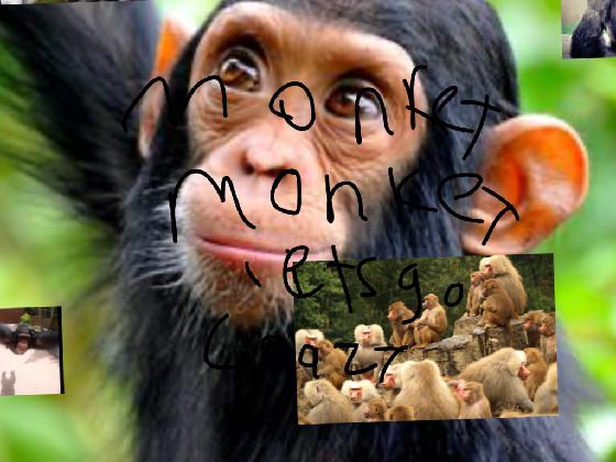 monkey monkey lets go crazy