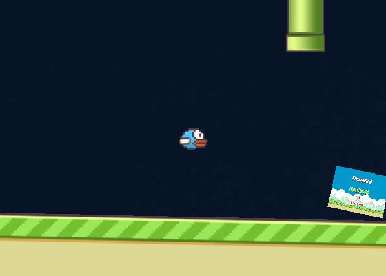 Flappy nat - 1