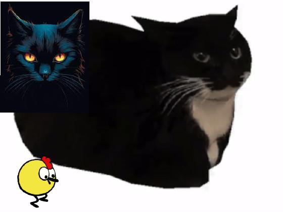 maxwell the cat 1 1 1