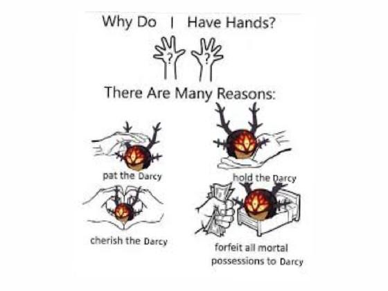 why we have hands