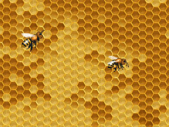 bees rule