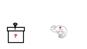 Chameleon Spin Tutorials