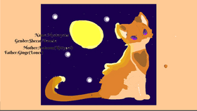 Create a Warrior Cat