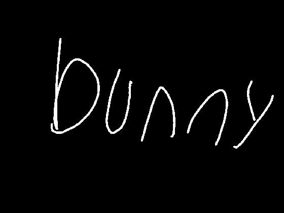 bunny