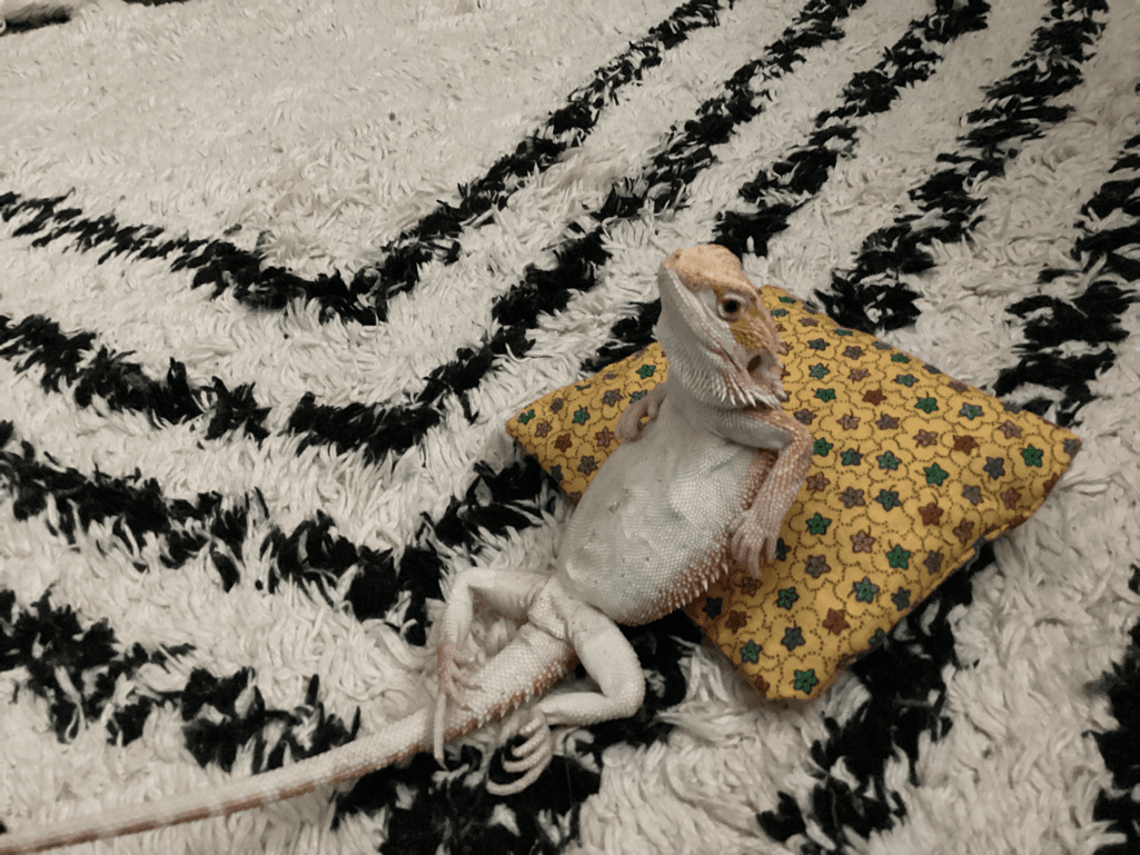 can we get to 300 like s