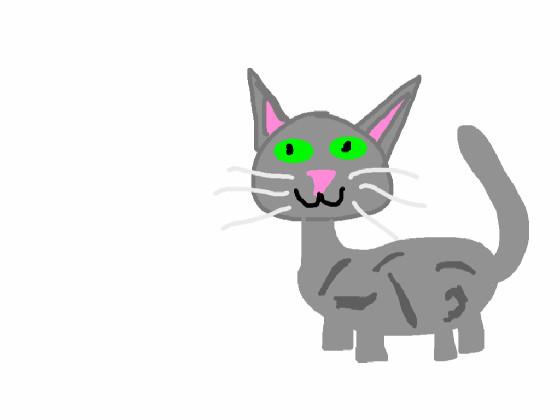 nice kitty