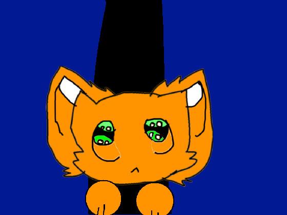 chipi chip 🐅🐈 2