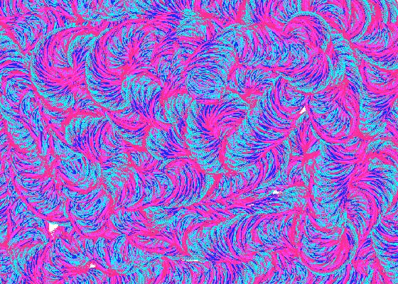 Spin Draw 2