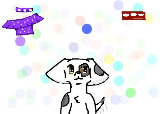 o nome dele é daymax ❤️🦮