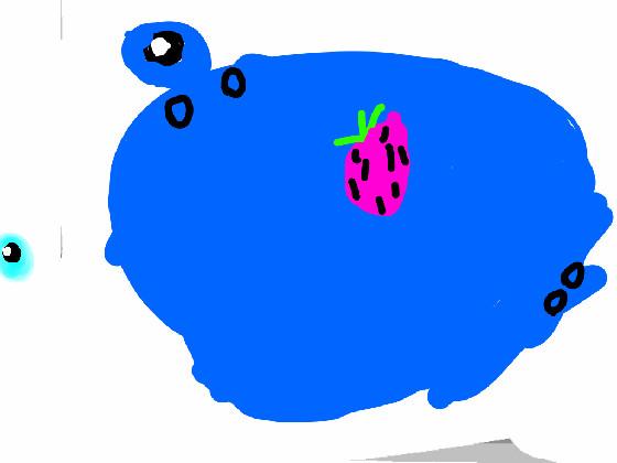 blueberry cvbn