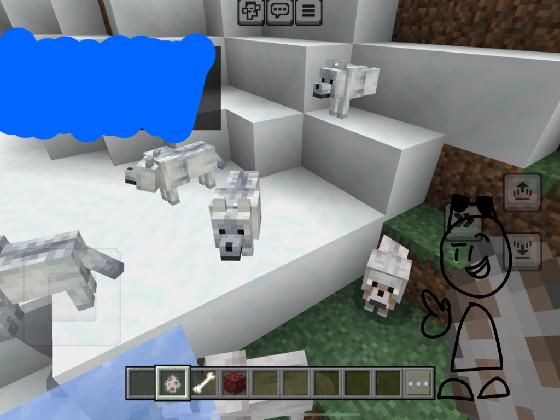 NEW MINECRAFT WOLVES 1