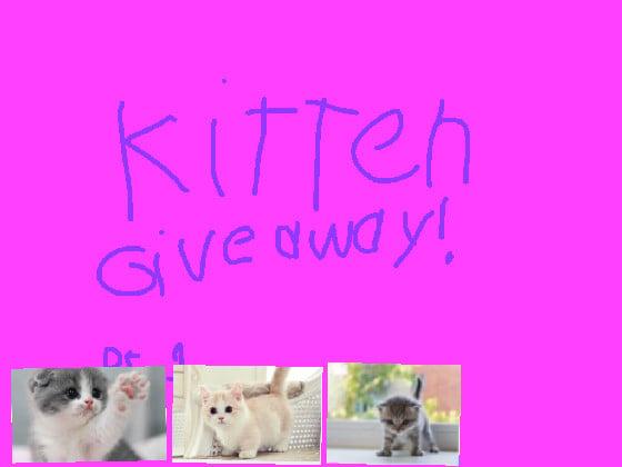 Kitten giveaway part 1